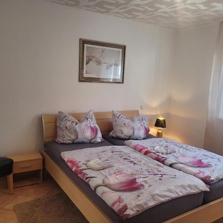 Ferienwohnung Jasmin In Schoenau Bei Heidelberg Fewo 2 Schonau  Exteriér fotografie