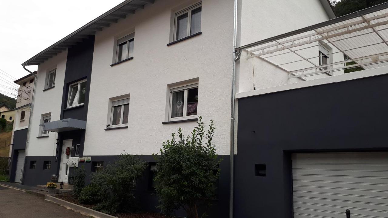 Ferienwohnung Jasmin In Schoenau Bei Heidelberg Fewo 2 Schonau  Exteriér fotografie
