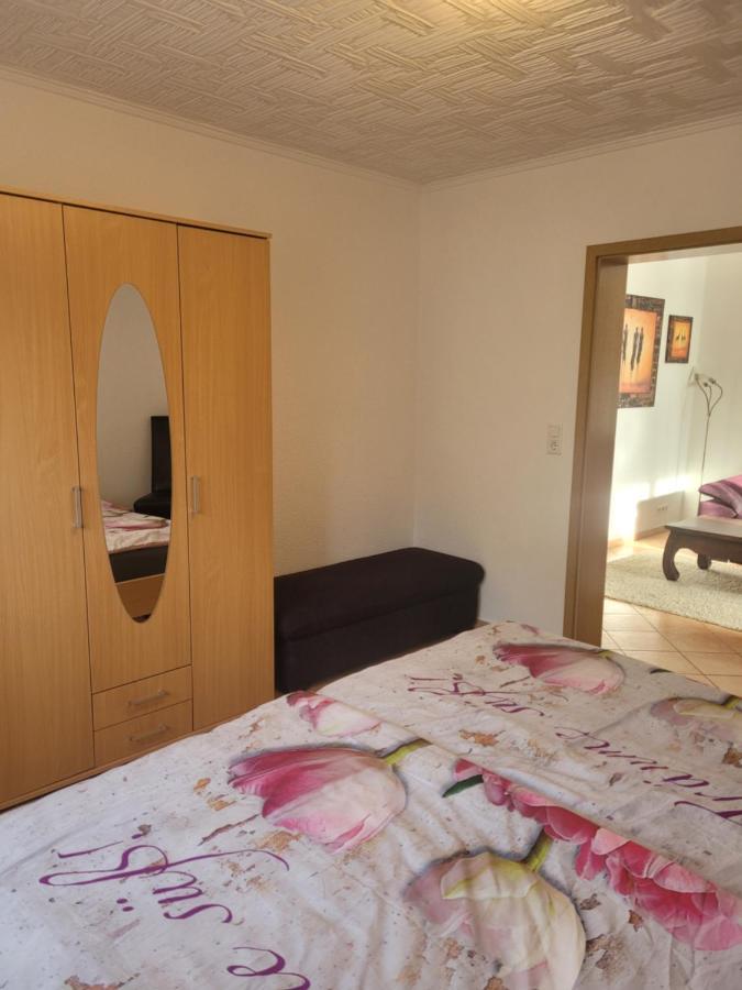 Ferienwohnung Jasmin In Schoenau Bei Heidelberg Fewo 2 Schonau  Exteriér fotografie