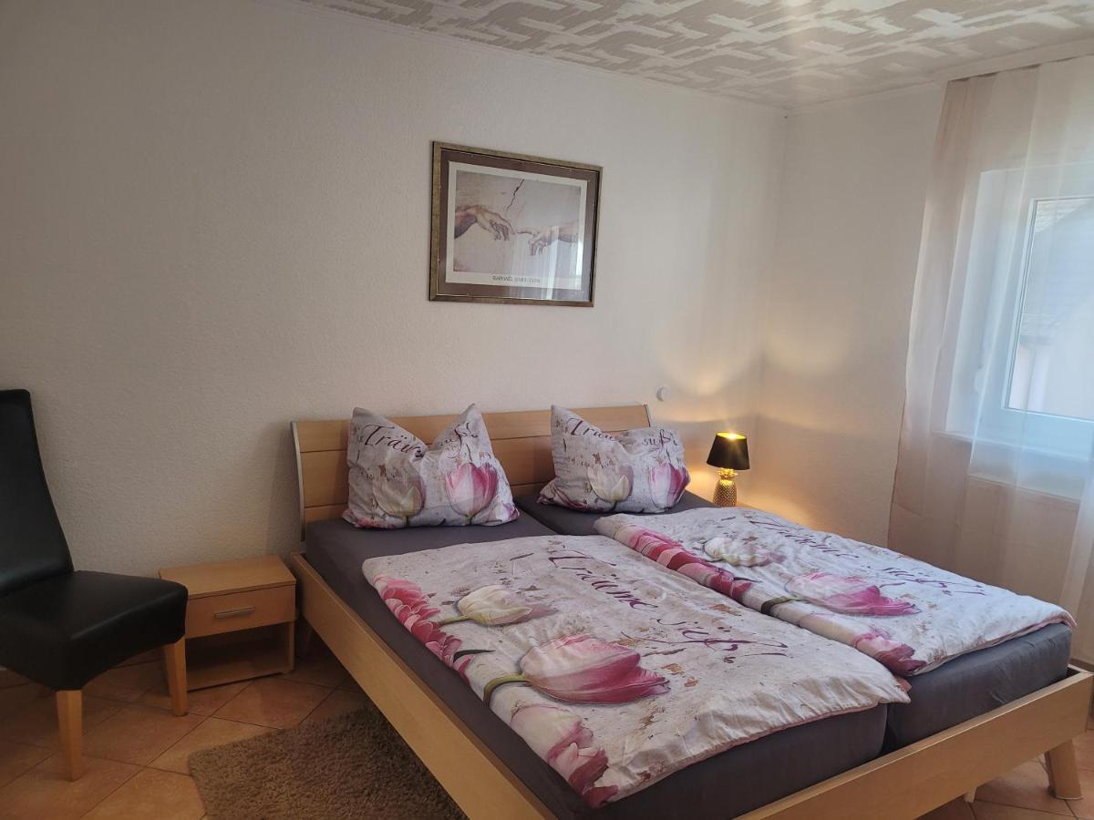 Ferienwohnung Jasmin In Schoenau Bei Heidelberg Fewo 2 Schonau  Exteriér fotografie